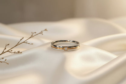 ANILLO P&R