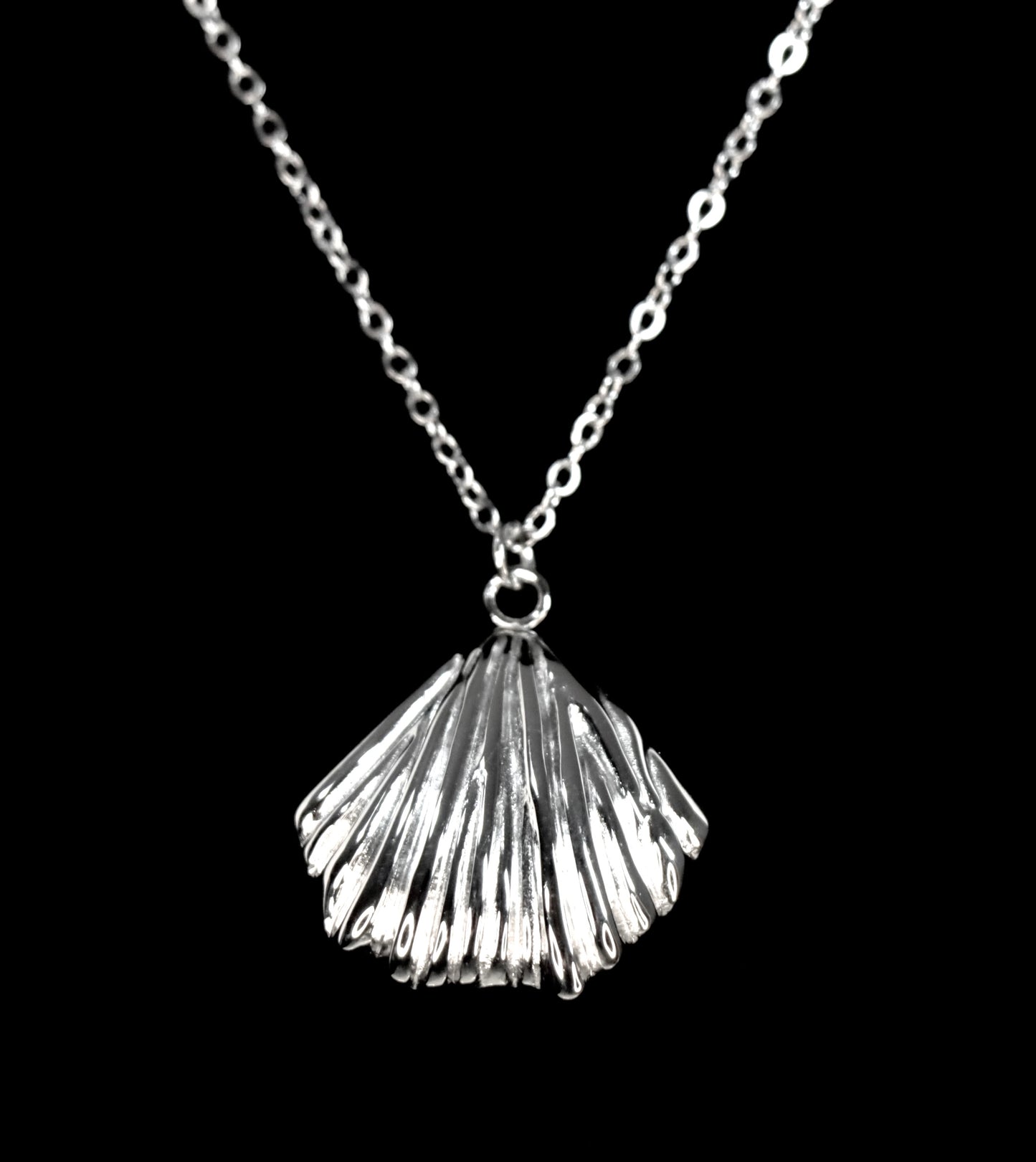 Collar Concha Dorada - Plata