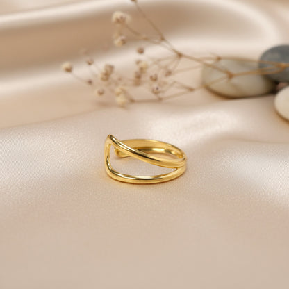 ANILLO DUAL