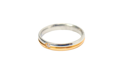 ANILLO P&R